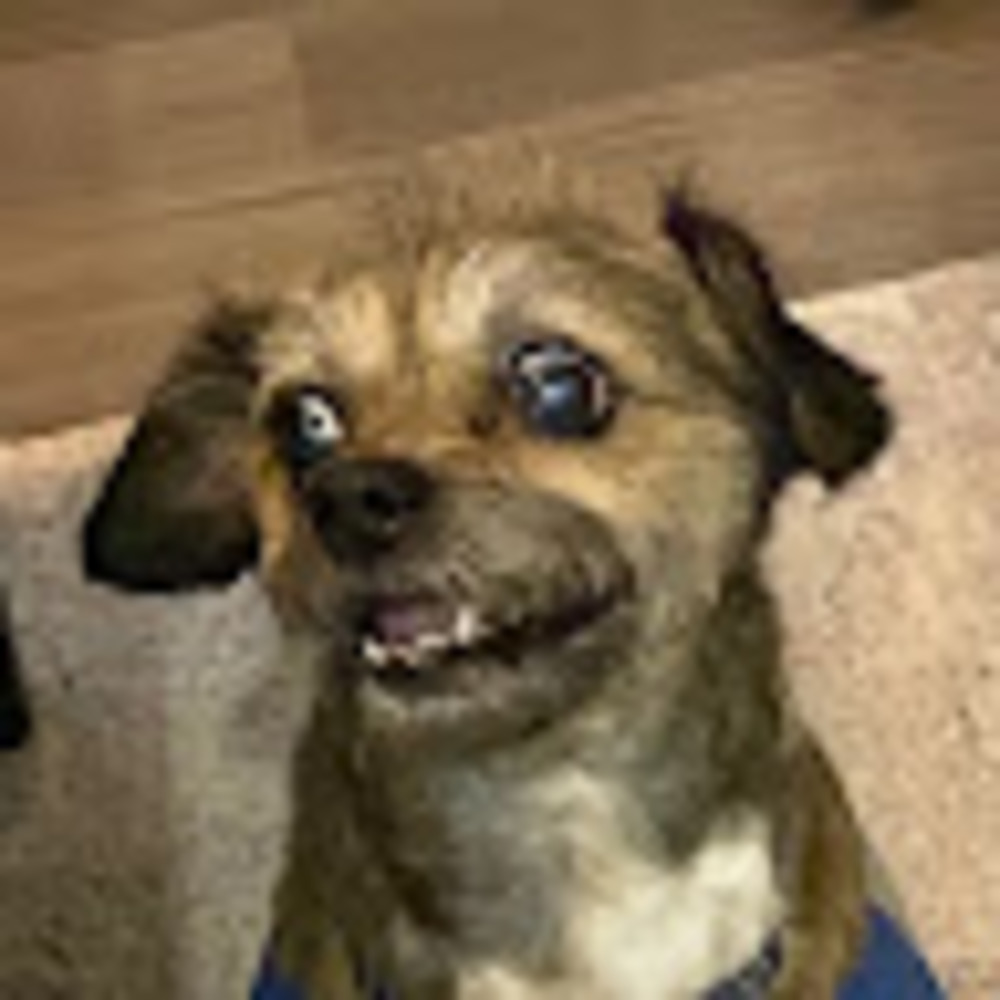 Meet your Posher, Mathew